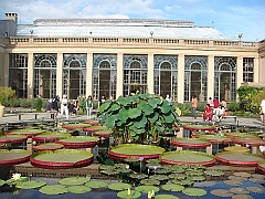 284 Longwood Gardens [2008 August 23]